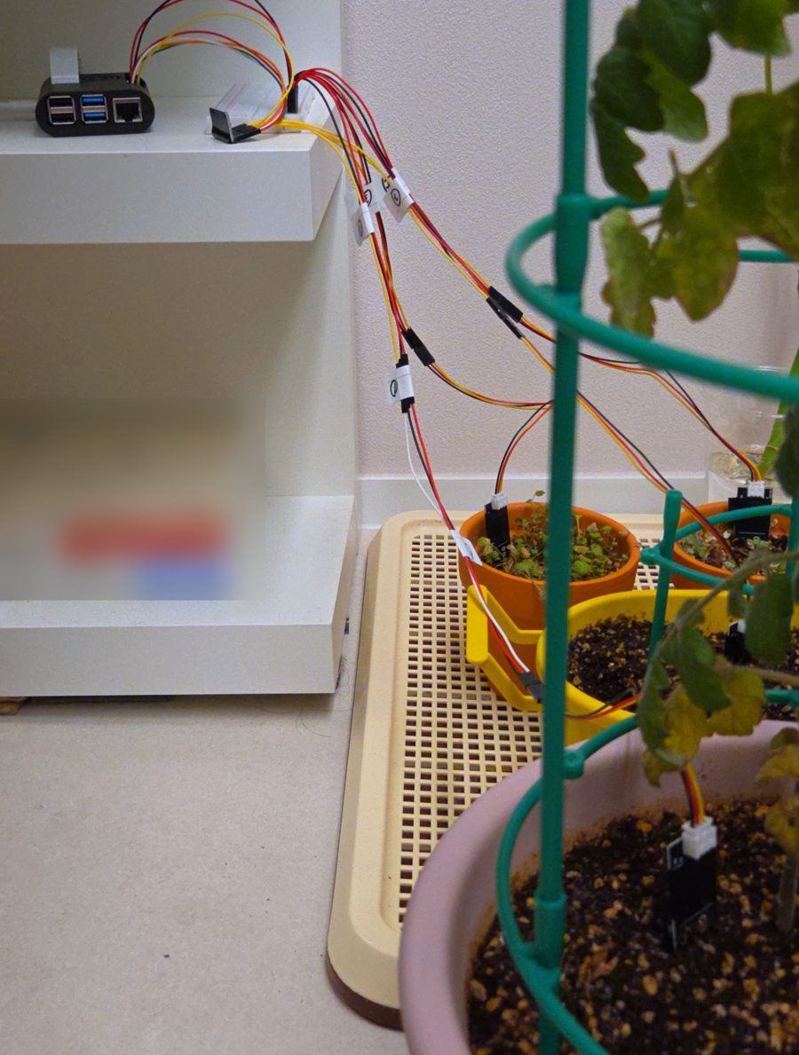 Raspberry Pi on a shelf with labeled sensor cables running to soil sensors in four potted plants